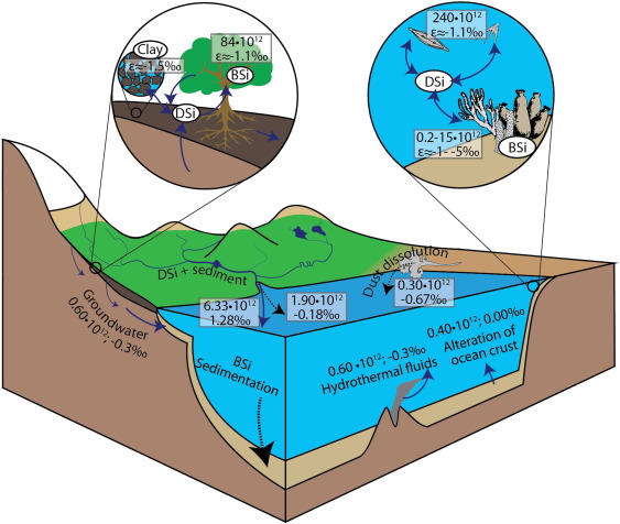 silicon cycle for or against mining essay